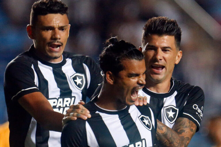 Botafogo é o líder e o único invicto neste brasileiro